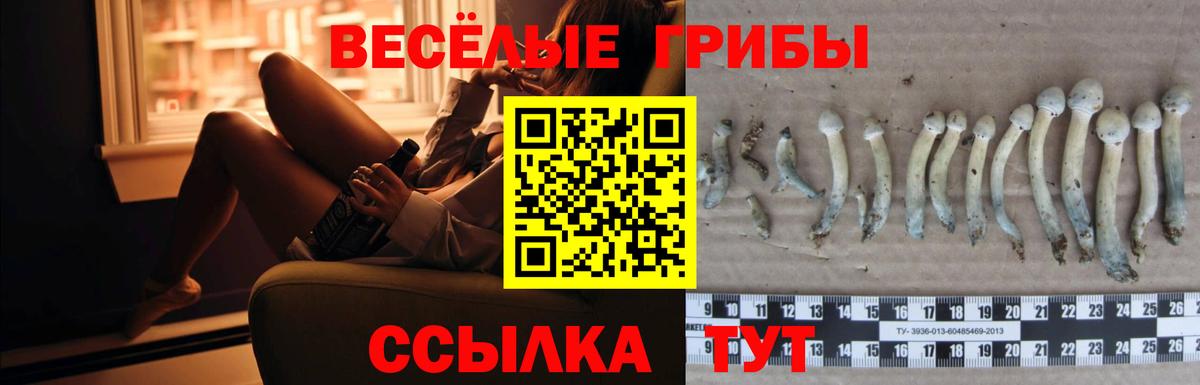 Псилоцибиновые грибы ЛСД  Вход с VPN  Галлюциногенные грибы Cubensis  Гусиноозёрск 